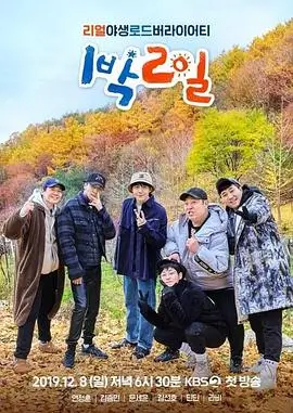 名场面坐标配图五，夜色街道上的两人并肩行走